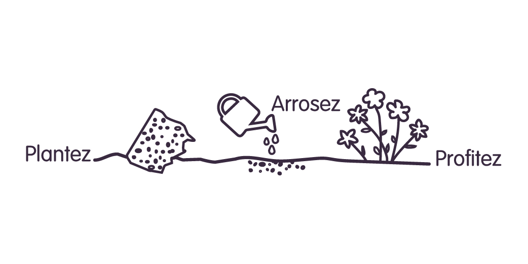 plantez arrosez profitez_Plan de travail 1